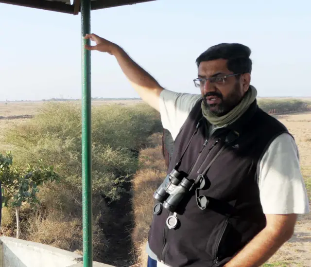 કચ્છ, વન, જંગલ, પર્યાવરણ, રાજસ્થાન, ગુજરાત, કચ્છમાં ઘોરાડના બચ્ચાનો જન્મ, ખડમોર, ઘોરાડ, બીબીસી ગુજરાતી