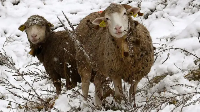 ஓரிரு வரிகளில் உலகச் செய்திகள்