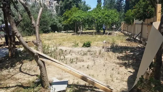 Ağacları kəsənlər