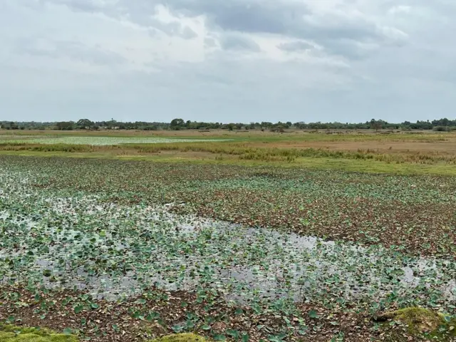 சென்னை, பரந்தூர் விமான நிலையம், ஏகனாபுரம், வளத்தூர்