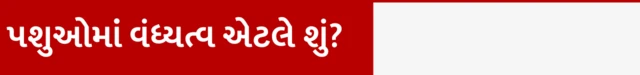 બીબીસી ગુજરાતી એક્સપ્લેનર