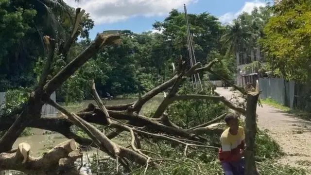 গাছ ভেঙে পড়ে বিদ্যুতের পোল