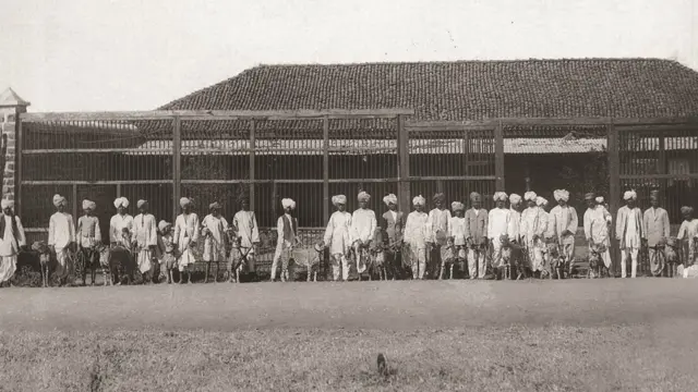 இந்தியாவுக்கு திரும்பவும் வருகிறது சிறுத்தைகள்: சிறுத்தைகளை வளர்த்து வேட்டைக்குப் பயன்படுத்திய கோலாப்பூர்வாசிகள்