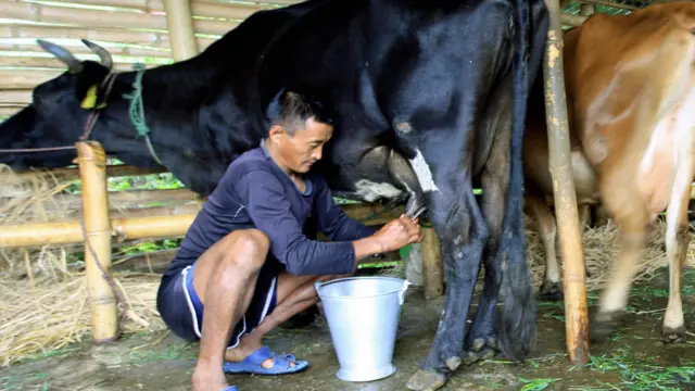 दूधको मूल्य