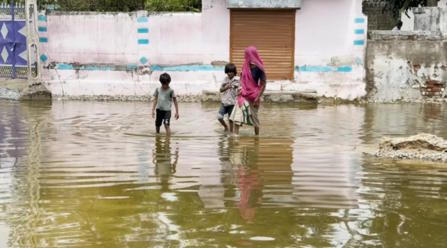 ગુજરાત: વાવના આ ગામમાં લોકો મૃત માછલીઓ વચ્ચે જીવવા મજબૂર, ગામના લોકોનો આરોપ, દલિત વિસ્તાર હોવાને કારણે આ સમસ્યા
