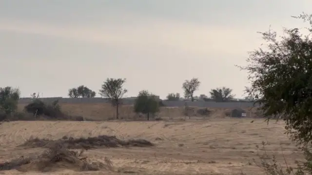 विशेषज्ञों का कहना है कि सोलर प्लांट्स से क्षेत्र में गर्मी बढ़ी है और पानी कम हुआ है