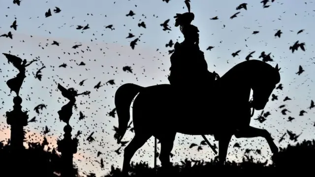 Pájaros revoloteando alrededor de una estatua