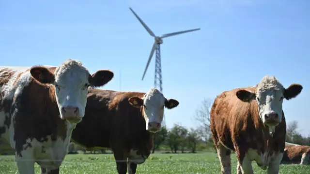 Torreprognóstico futebol academiaenergia eólica 