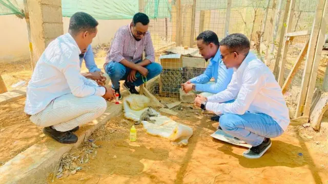 Koox ka tirsan wasaaradda deegaanka Puntland oo duljooga Haramcad dhal ah oo la badbaadiyay