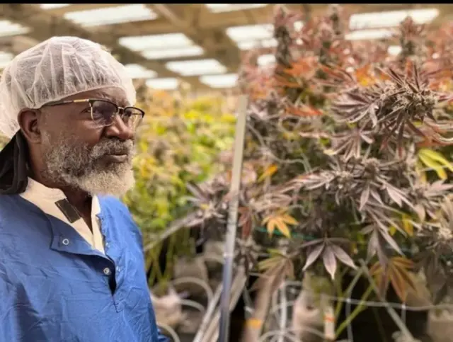 Dorgomtoota pirezidaantummaa keessaa tokko kan ta'e Waajakaayaa