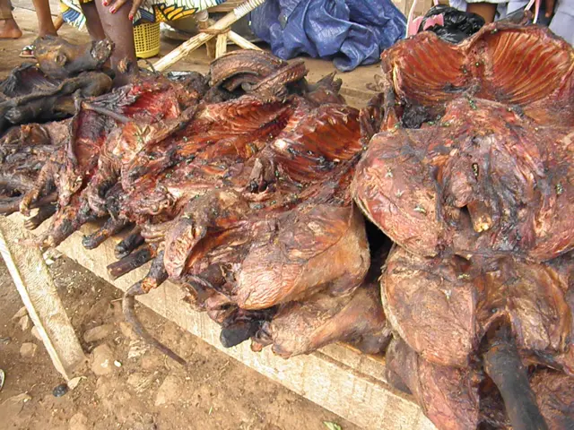 Le singe s'adapte à tous les goûts