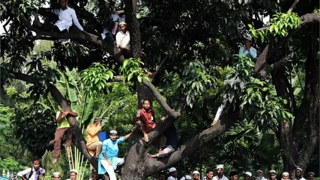 ट्रिपल तलाक़