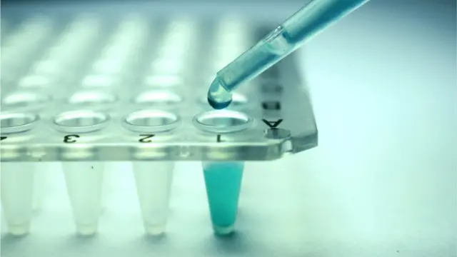 kök hücre araştırması