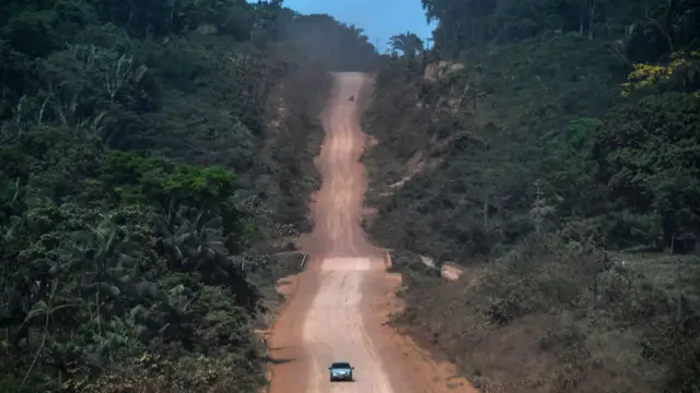 Camino de tierra en medio de una selva.