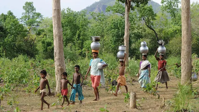 ఎస్సీ, ఎస్టీ