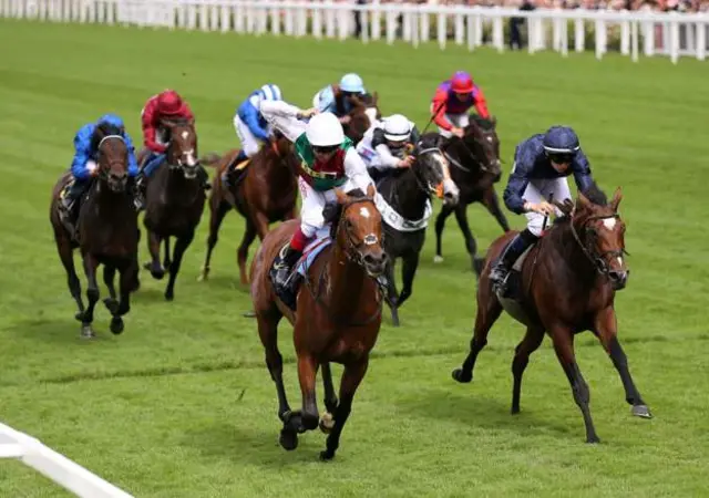 英國，王室，賽馬，體育，阿斯科特