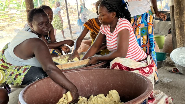 Entre 200 000 et 300 000 femmes sont impliquées dans la production d'attiéké en Côte d'Ivoire.