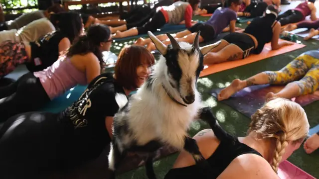 Akuyar Najeriya a Amurka