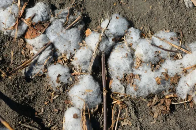 પ્રતીકાત્મક તસવીર