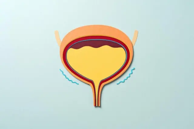 ఆరోగ్యం, మూత్రవిసర్జన, యూరిన్, పీఎండీ