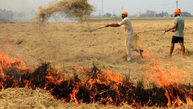 కాలుష్యం