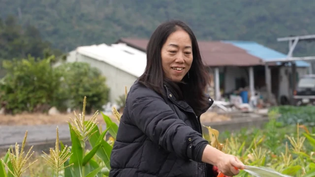 有陆配背景的前花莲村长邓万华去年8月遭解职