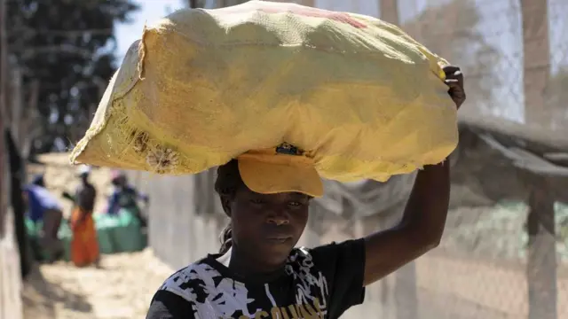 Obinrin to gbe apo agbado