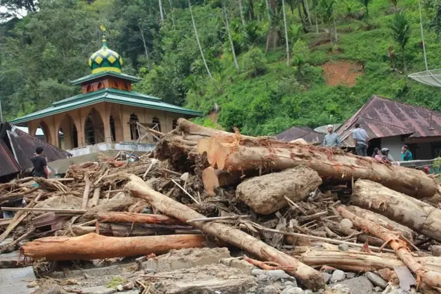 Beberapa warga berada di antara kayu yang terbawa arus sungai pascabanjir bandang yang terjadi, di Desa Muara Saladi, Kecamatan Ulu Pungkut, Mandailing Natal, Sumatra Utara, Sabtu (13/10). Banjir bandang yang terjadi pada Jumat (12/10) melanda sembilan kecamatan di Kabupaten Mandailing Natal.