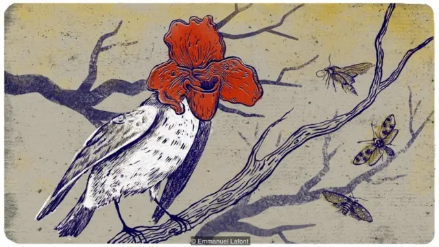 भविष्य में इंसान के रंग-रूप कितने बदल जाएंगे?