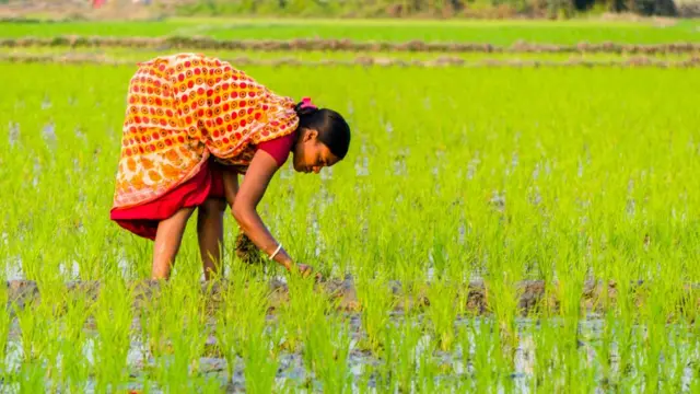 મહિલા ખેડૂત