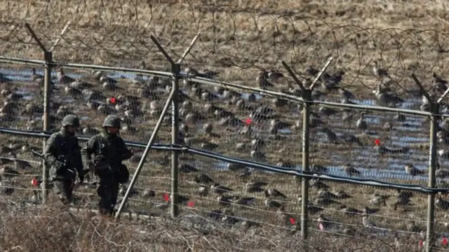 असैन्यीकृत ज़ोन दुनिया का सबसे ज़्यादा सैन्यीकृत इलाक़ा है