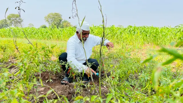 रामचंद्र खाडे