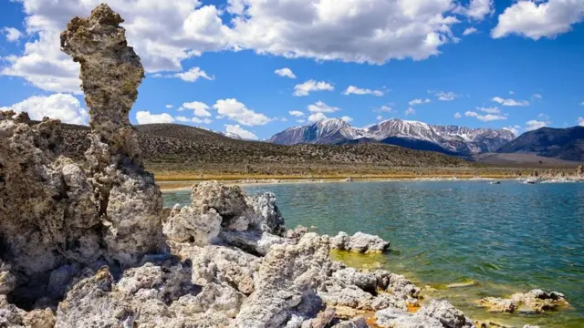 （圖片來源: Zack Frank）