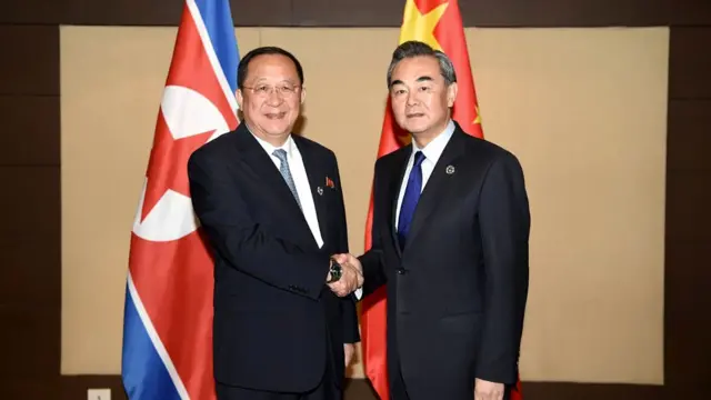 री योंग हो, वांग यी