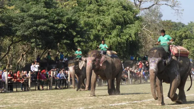 हात्ती महोत्सब