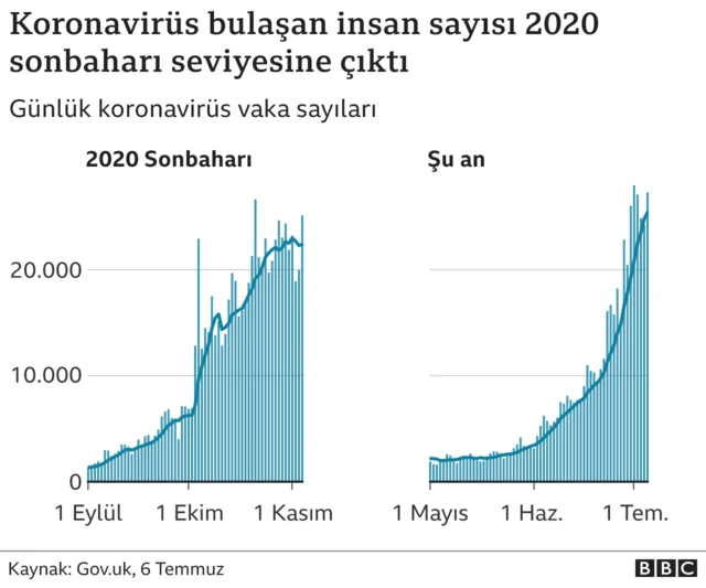 birleşik krallık vaka sayıları