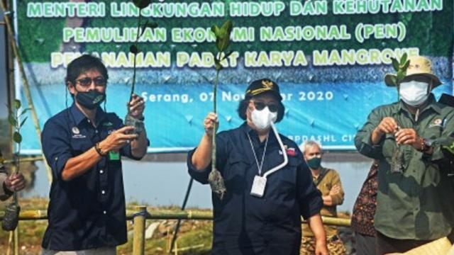 Food Estate: Proyek Lumbung Pangan Di Hutan Lindung, Pegiat Lingkungan ...