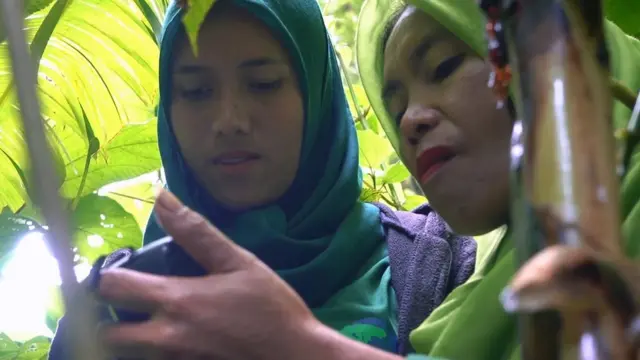 Perempuan, ibu rumah tangga, penjaga hutan, Aceh