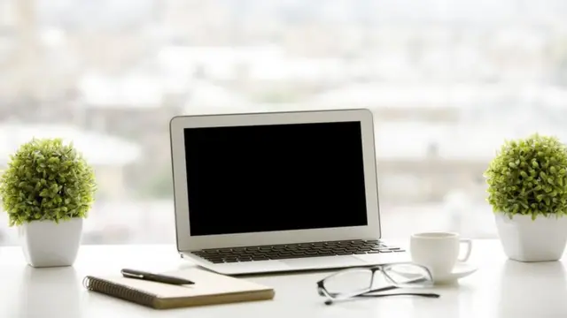 Una computadora en un escritorio con plantas a los lados