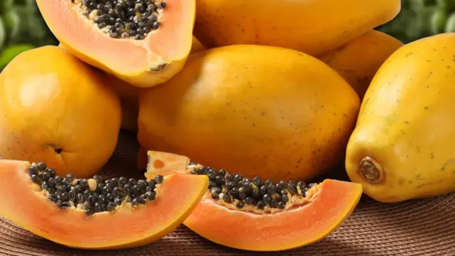 Papaya