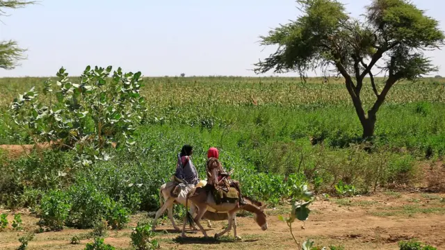 Des femmes soudanaises montent à dos d'âne près d'un camp pour personnes déplacées à El-Fasher, la capitale de l'État du Darfour-Nord, le 4 novembre 2019. - La visite d'une journée du Premier ministre soudanais Abdalla Hamdok a été sa première visite en fonction dans la région dévastée, où un conflit qui a éclaté en 2003 a fait des centaines de milliers de morts et des millions de déplacés. Il a déclaré que son gouvernement s'employait à rétablir la paix au Darfour déchiré par la guerre alors qu'il rencontrait des centaines de victimes du conflit qui exigeaient une justice rapide.