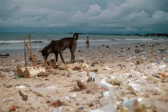  ကမ်းခြေတွေမှာ ပလတ်စတစ်ညစ်ညမ်းမှုကလည်း ပြဿနာကြီးဖြစ်