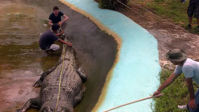 முதலைகளுடன் ஆடம் பிரிட்டன்