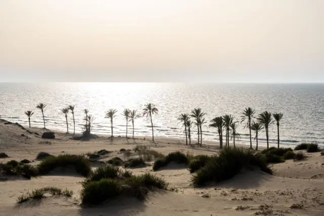 العريش: سيرة بوابة مصر الشرقية التي قد تلعب دورا في مستقبل غزة