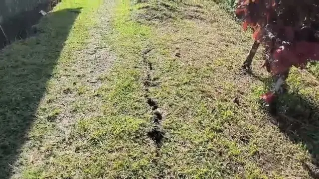 gempa, Sulawesi Utara