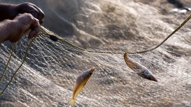 கொரோனா ஊரடங்கால் மீனவர்கள் பிடித்து வரும் மீன்களை ஏற்றுமதி செய்வதில் சிக்கல்: விரிவான தகவல்