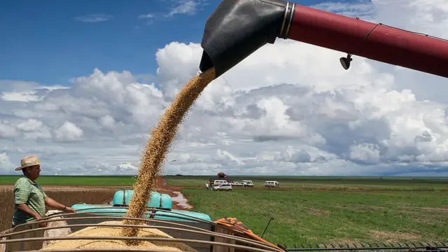 Recolección de soja en Brasil.