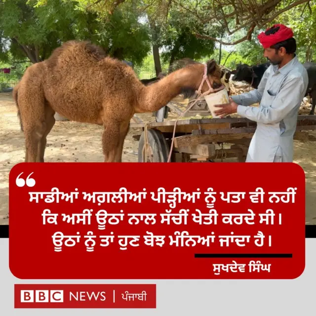 ਊਠ