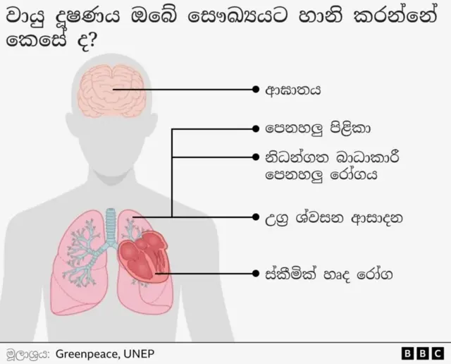 වයෝවෘද්ධ, ගැබිණි, කුඩා දරුවන් වැනි අවදානම් කාණ්ඩවල පසුවන පුද්ගලයින් පවතින වායු දූෂණය පිළිබඳ වැඩි අවධානයක් යොමු කළ යුතු බව කායික රෝග පිළිබඳ මහාචාර්ය චන්ද්‍රිකා විජේරත්න බීබීසී සිංහල වෙත පැවසුවාය.