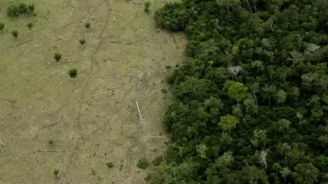 Imagem aérea sobre área da floresta amazônica